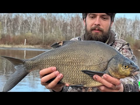 Видео: РЫБАЛКА НА ФИДЕР ВЕСНОЙ | Канал им. Москвы, деревня Драчево