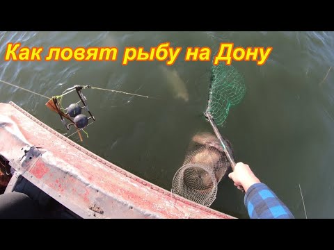 Видео: Как ловить много рыбы?  Очень эффективный способ.