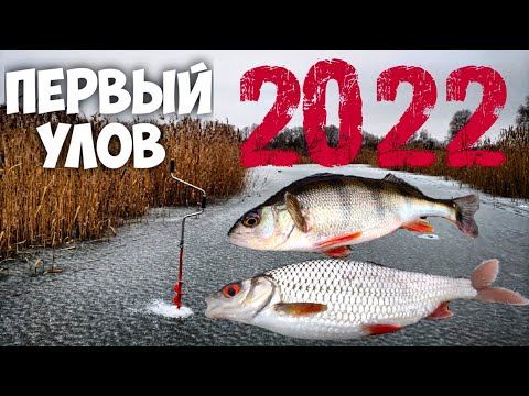 Видео: Нашёл место - Плотва Лупит на Каждой проводке!  Открытие сезона 2022 года. Зимняя рыбалка. Мормышка.