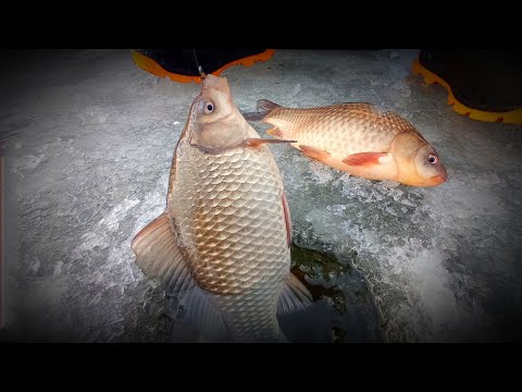 Видео: ТАКИХ ЛАПТЕЙ Я ЕЩЕ НЕ ЛОВИЛ!Зимняя рыбалка на Карася