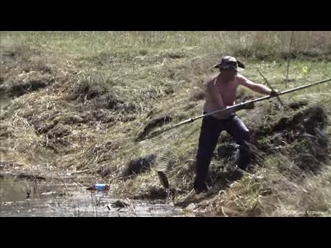 Видео: Язь брал на середине и на навозного червя.