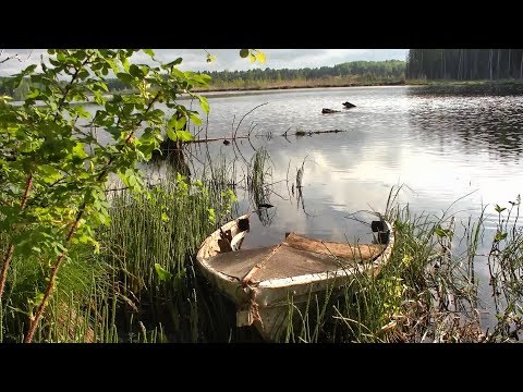 Видео: Едем на рыбалку или главное ноги не переломать! #236