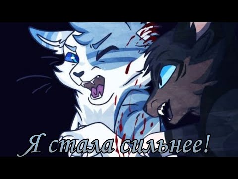 Видео: •Клип•-Коты Воители-"Я стала силнее!"|Искра|warrior cat  ivypool|√🖤Black Cat𓃠√
