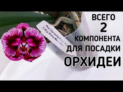 Видео: самая ПРОСТАЯ и БЫСТРАЯ посадка ОРХИДЕИ фаленопсис ВО что быстро и просто пересадить орхидею ОРХИДЕЯ