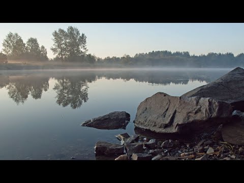 Видео: КВАТРО.   Колыбельная.