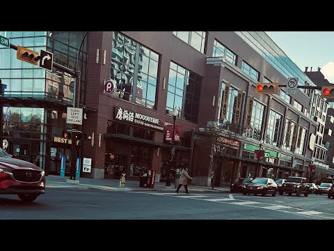 Видео: Canada 🇨🇦 Свадьба, снег и немного шопинга в Калгари 