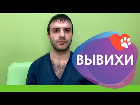 Видео: Вывих коленной чашечки у животных