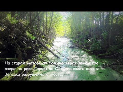 Видео: Остроленский шлюз на реке Горюн. Из Сомино на моторе по Тихвинской водной системе. Жуткая находка.