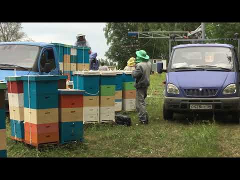 Видео: Подъёмник (кран-балка) для погрузки пчёл