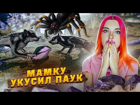 Видео: МАМУ белку УКУСИЛ ПАВУК! ► AWAY: The Survival Series #2