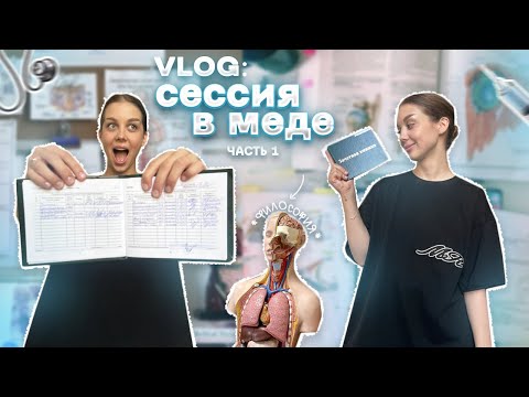 Видео: VLOG:ЛЕТНЯЯ СЕССИЯ В МЕДЕ 2 КУРС | ФИЛОСОФИЯ | ЧАСТЬ 1