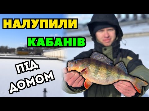 Видео: Як НАЛОВИТИ ОКУНІВ з Криги прямо в КИЄВІ? Риболовля на безмотилку 2025