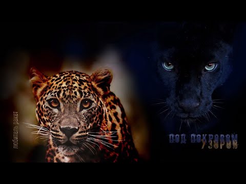 Видео: [Озвучка by SZ] Озвучка фанфика по BTS - Под покровом узоров_Любитель ракет_1_ПРОМО