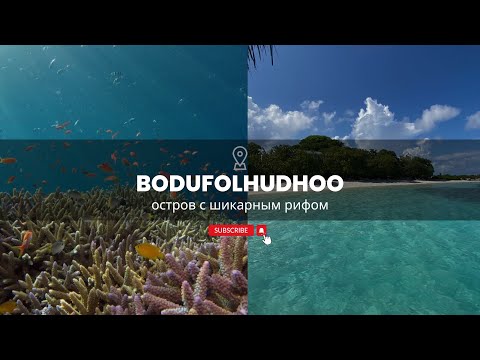 Видео: Bodufolhudhoo Maldives 🌊 Остров с лучшим рифом | Честный обзор