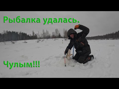 Видео: Удачная рыбалка, Чулым.