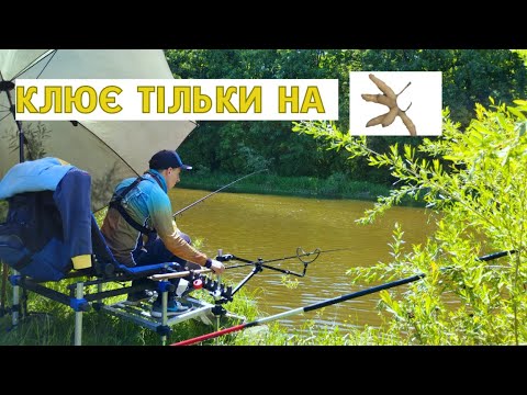 Видео: Рибалка на р. Горинь у травні 2023. Клює тільки на ОПАРИША!!!