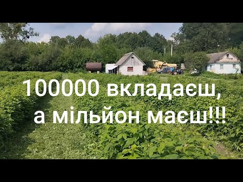 Видео: 100000 вкладаєш-мільйон маєш!!!