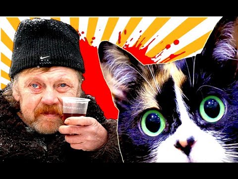 Видео: Сливки Шоу [ А#%ЕВАЕМ над ТУПОСТЬЮ ]