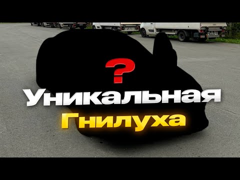 Видео: Уникальная Гнилуха