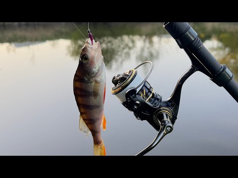 Видео: Обзор Спиннинга MIFINE NANO JIG ZERO 0.2-0.8g 168 см,карась как бонус.