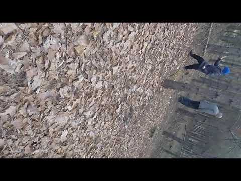 Видео: ИДЕМ В ЛЕС ПО ГРИБИ