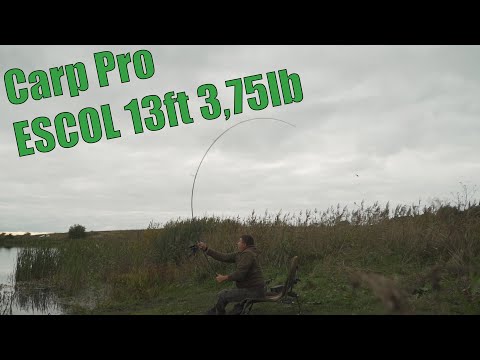 Видео: ЗАБРОС НА 130М СИДЯ! ПОЛНЫЙ ОБЗОР КАРПОВОГО УДИЛИЩА CARP PRO ESCOL!