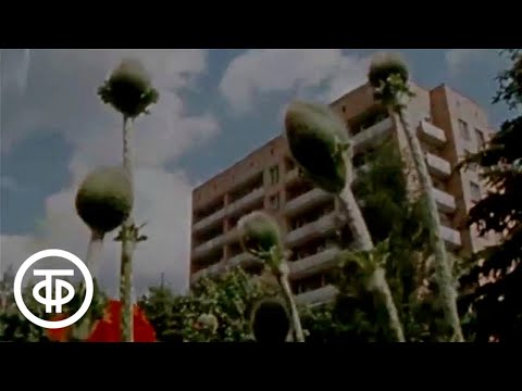 Видео: Пущино на Оке. Документальный фильм (1984)