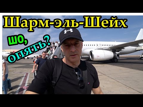 Видео: ЕГИПЕТ на Доверии! Pickalbatros Golf Beach Resort 5* Заселение!