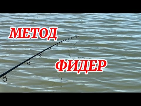 Видео: ШАРАНИ НА МЕТОД ФИДЕР!