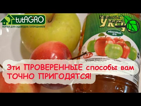 Видео: ОТ ГРИБКА, ПОТА, ГОРЛА, ТЯГИ К СЛАДКОМУ И ПОЛНОТЫ. 4 способа использовать ЯБЛОЧНЫЙ УКСУС.