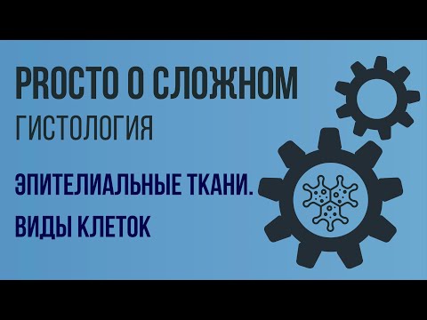 Видео: PROСТО О СЛОЖНОМ. Эпителиальные ткани, виды клеток. Гистология №3