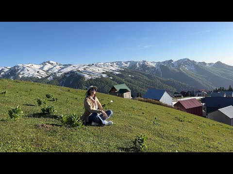 Видео: 🏞️ Гомис Мта, Грузия 🇬🇪 здесь ветер поёт, как будто знает твои мысли. Дорога в мае
