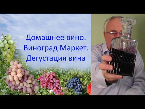 Видео: @Домашнее вино. Виноград Маркетт. Дегустация вина