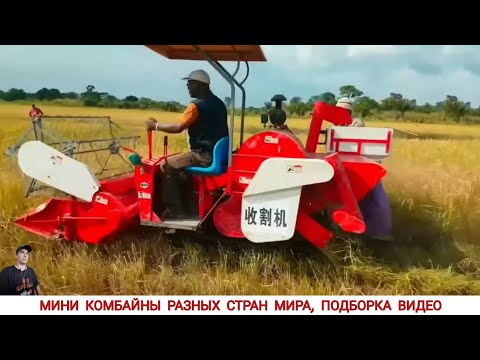 Видео: УНИКАЛЬНЫЕ МИНИ КОМБАЙНЫ РАЗНЫХ СТРАН МИРА / MINI MACHINES FOR HARVESTING GRAIN CROPS,COMPILATION