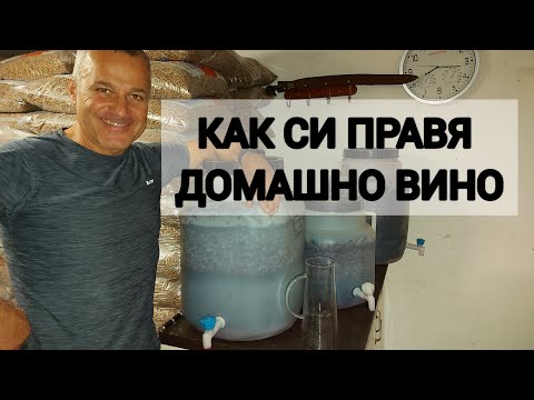 Видео: КАК ПРАВЯ ВИНО У ДОМА