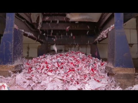 Видео: Қоқыс қалдықтарының 90%-ын өңдеуге болады – сарапшылар
