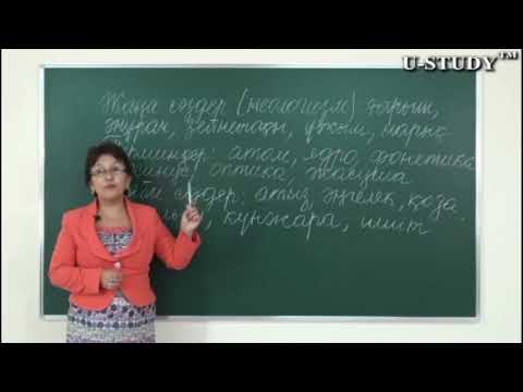 Видео: ҰБТ-ға дайындық (қазақ тілі): Жаңа сөздер  Терминдер  Кәсіби сөздер