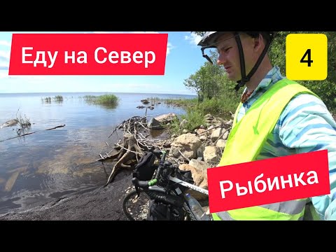 Видео: 🚲🌲 Путешествие на велосипеде на Рыбинское море / День 4: Пошехонье, Череповец