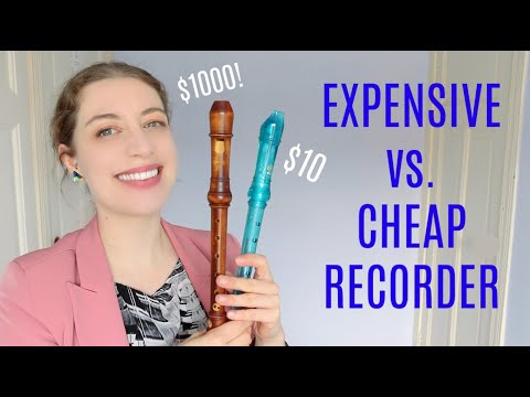 Видео: Блокнот $10 против $1000! | Team Recorder