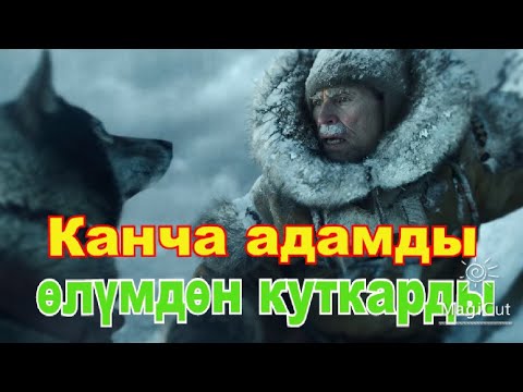Видео: Бүтүндөй шаарды оорудан сактап калды!#кино#кыргызча  #кыска