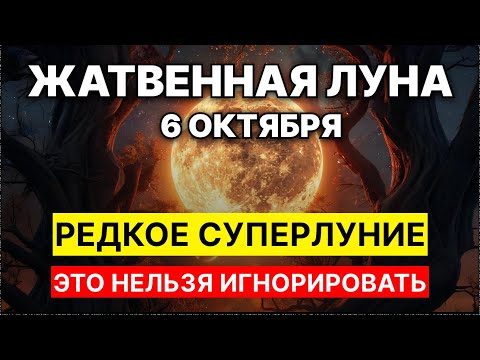 Видео: НЕ ОБЫЧНОЕ СУПЕРЛУНИЕ!  Ритм неба сдвинулся, и это не случайно... 6 октября 2025 — Жатвенная Луна
