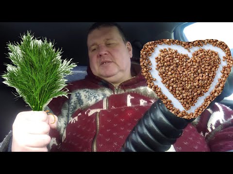 Видео: Как алкаш с Мариваной познакомился и попробовал гречки.