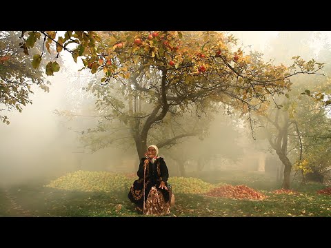 Видео: Шайке- исторический фильм. реж. Найзабек Сыдыков #кыргызкино #кыргызчакино  #историческийфильм