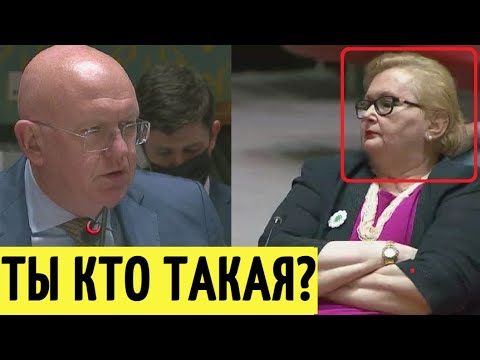 Видео: У вас нет прав! Небензя ПОРВАЛ в ООН представителя Боснии и Герцеговины