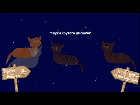 Видео: Один день из жизни Звездного Племени