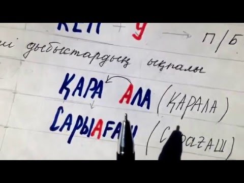 Видео: Ықпал түрлері.Тест төмендегі сілтемеде👇