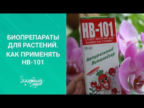 Видео: Активатор жизни растений HB-101. Как правильно применять этот биопрепарат.