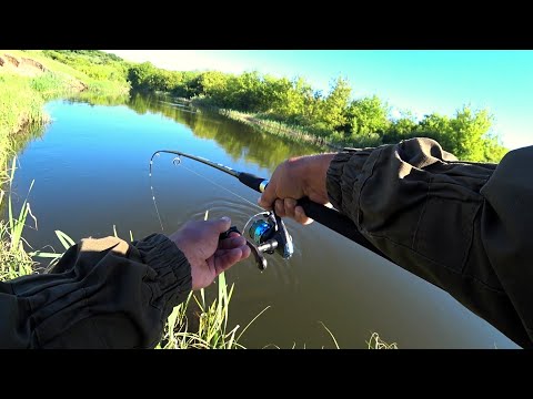 Видео: ЖЕСТЬ!!! СУМАСШЕДШАЯ РЫБАЛКА. НАШЁЛ РЫБЬЕ ЛОГОВО и таскаю одну за другой.