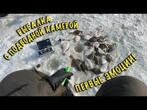 Видео: Ловим рыбу с подводной камерой | Зимняя рыбалка 2023
