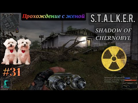 Видео: S.T.A.L.K.E.R. Shadow of Chernobyl прохождение с комментариями Часть - 31
